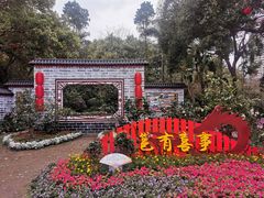 -金花茶公园