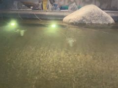 -溧阳天目湖天沐温泉