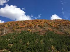 -塞罕坝国家级自然保护区