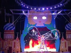 -俄罗斯国家大马戏团