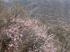 -妙峰山风景名胜区