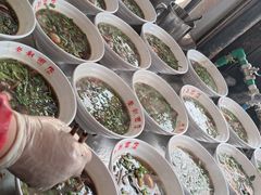 -老赵面店(大西路店)