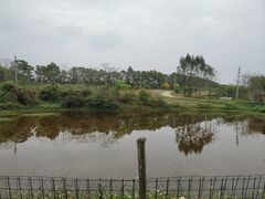 -天适樱花悠乐园