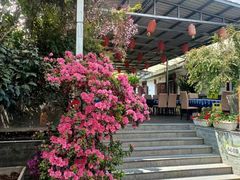 -瑞丰园庭院餐厅·白族传统家常菜