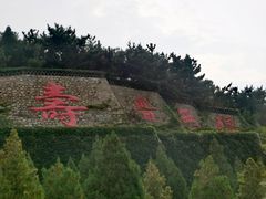 -龙口南山旅游景区