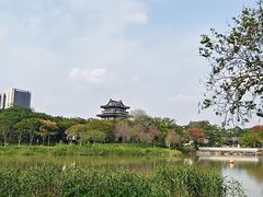 -海珠湖公园