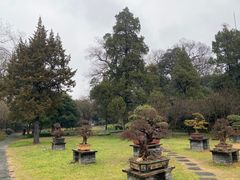 -扬州大运河文化旅游度假区·盆景园