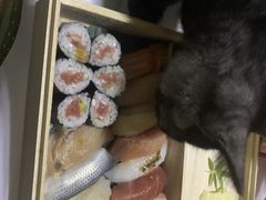 -瑞派福兴宠物医院犬猫全科·骨科·中西医结合(河东店)