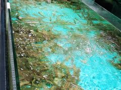 -宝燕海鲜(好爱店)