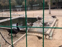 -杨柳青庄园