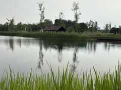 -白鹭湾湿地公园