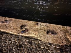 -多瑙河畔鞋履雕塑