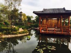 -武清南湖绿博园