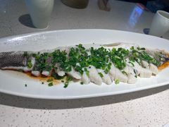 -船歌·鱼水饺青岛菜(金狮广场店)