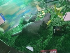 -惠州科技馆