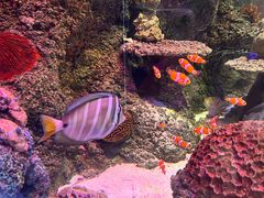 -沈阳海洋探索中心