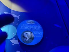 -海合安青岛极地海洋公园