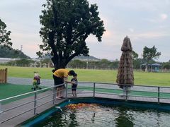 -长洲岛都市农业公园