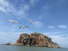 -海驴岛(荣成市)