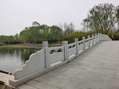 -大兴滨河森林公园