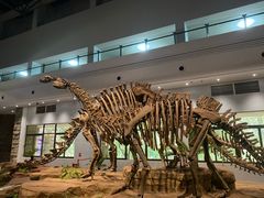 -自贡恐龙博物馆