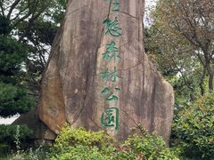 -昆山城市生态森林公园