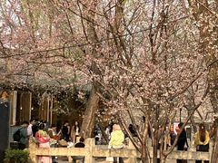 -春风习习
