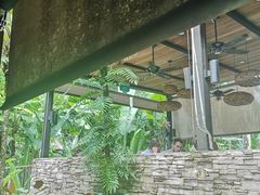 -植物园哈利亚餐厅