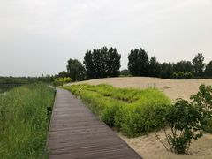 -东郊湿地公园