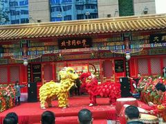 舞狮表演-同仁堂(沙坪坝店)