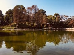 -广州市白云山风景名胜区