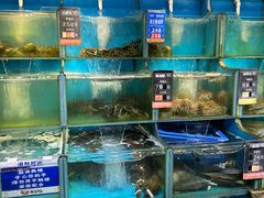 -海味当家·蒸锅海鲜(星海公园店)