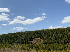 -塞罕坝国家级自然保护区