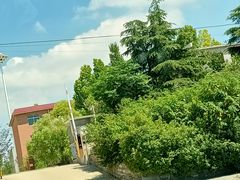 -泰山天颐湖旅游度假区