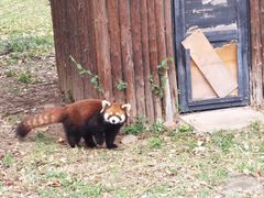-合肥野生动物园