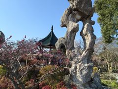 -无锡梅园公园