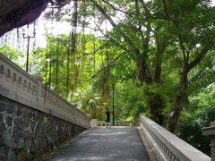 -香港佐治五世纪念公园