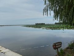 -白洋淀景区