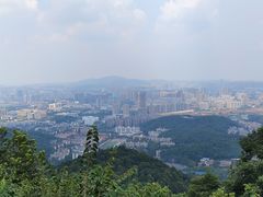-茶颜悦色(岳麓山顶店)