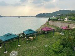 -望湖烤鱼
