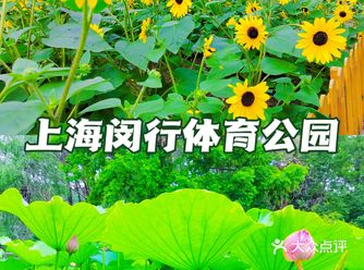 魔都夏季赏花推荐️闵行体育公园