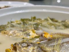 小黄鱼雪菜汤-宁海食府(天一阁望京店)
