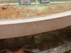 -白金汉爵大酒店·中餐厅(相城店)