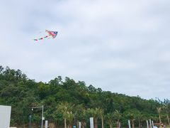 -野狸岛