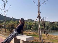 -龙口南山旅游景区