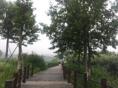 -眉山湿地公园(东坡区)