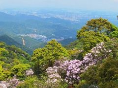 -梧桐山风景名胜区