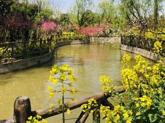 -南汇桃花村