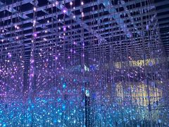 -正佳自然科学博物馆