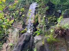 -金鸡山公园